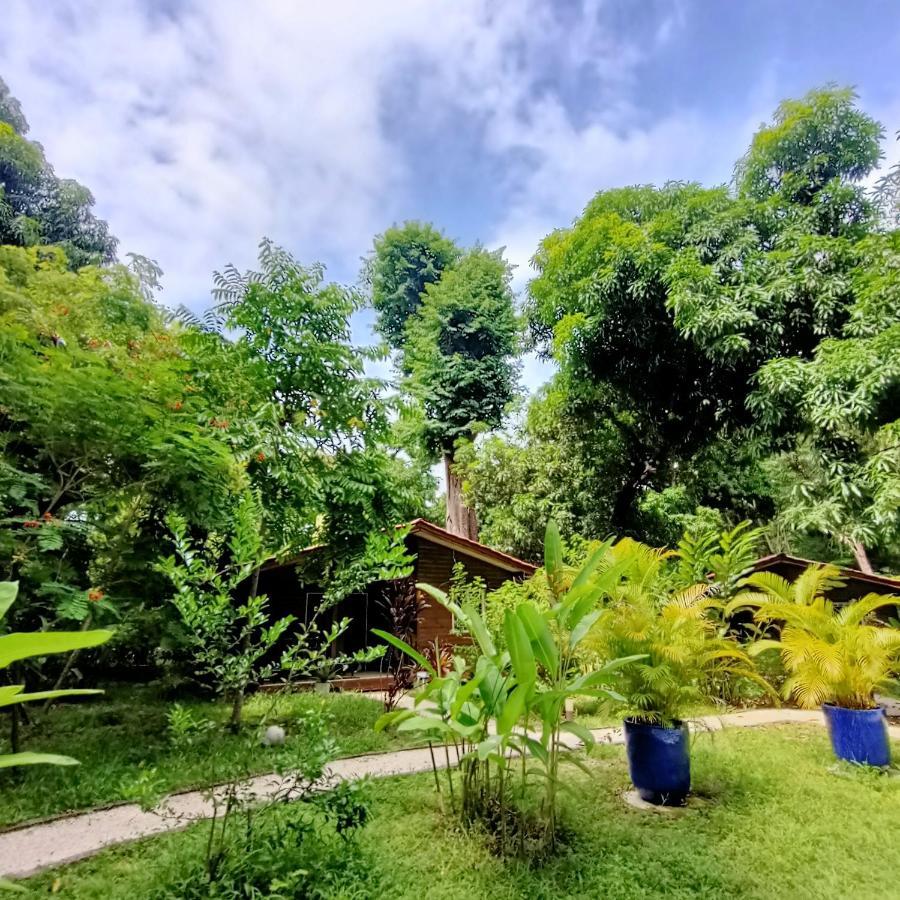 Boho Lodge Montezuma L&L Εξωτερικό φωτογραφία